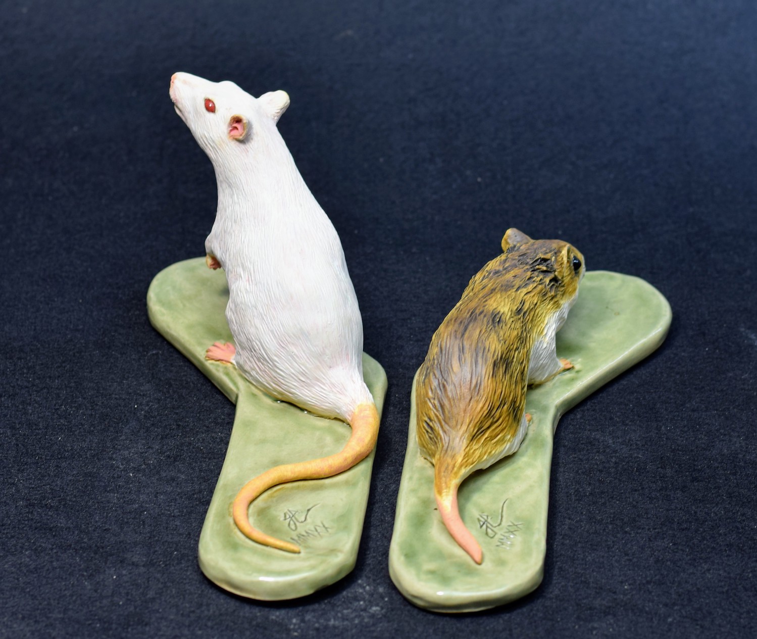 Chinese Hamster and Lab Rat