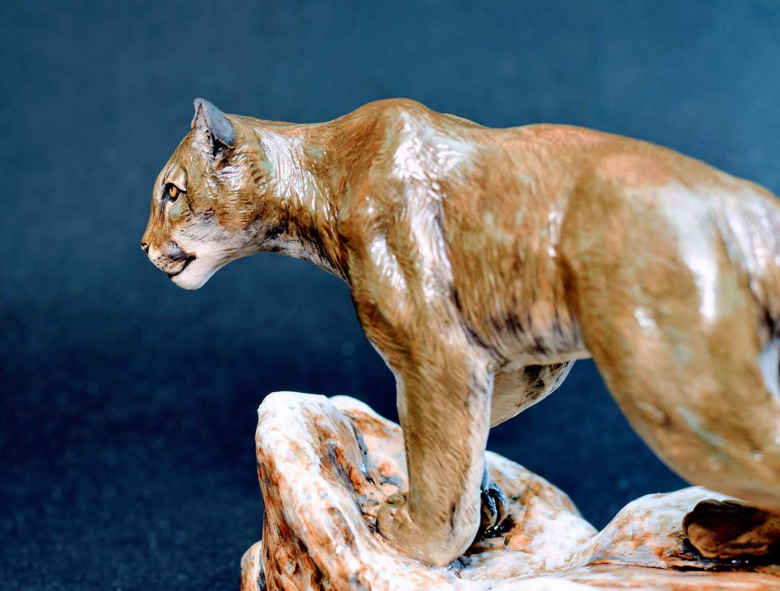 Mountain Lion Mountain Lion