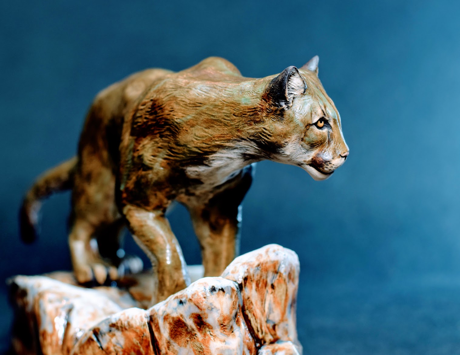 Mountain Lion Mountain Lion