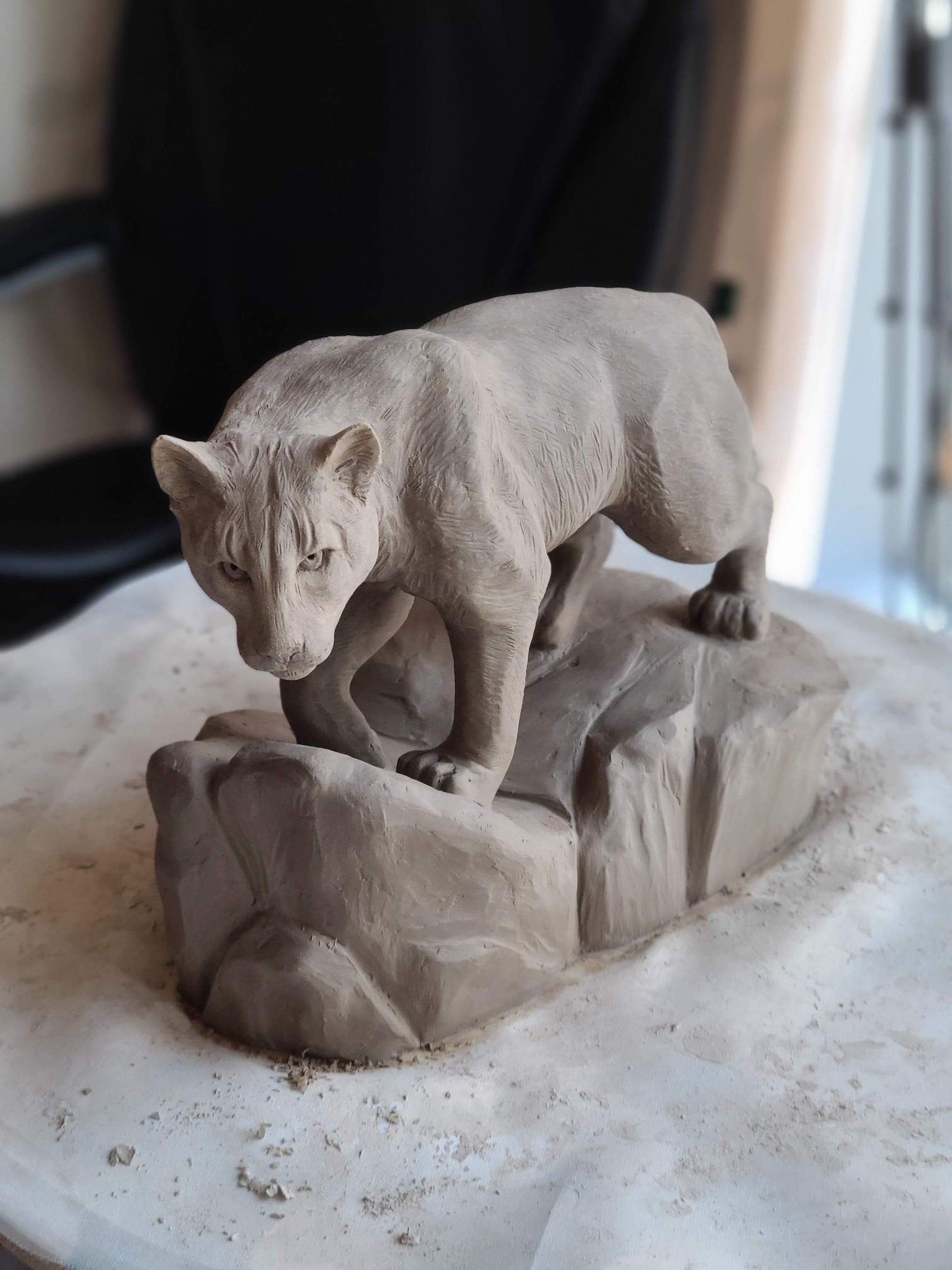 Mountain Lion Mountain Lion