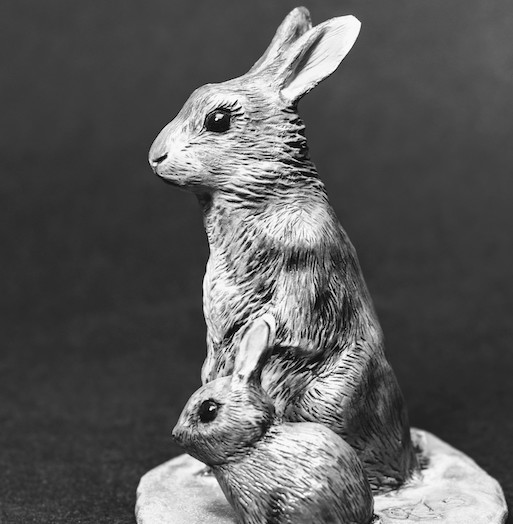 Rabbit Doe and Bunny