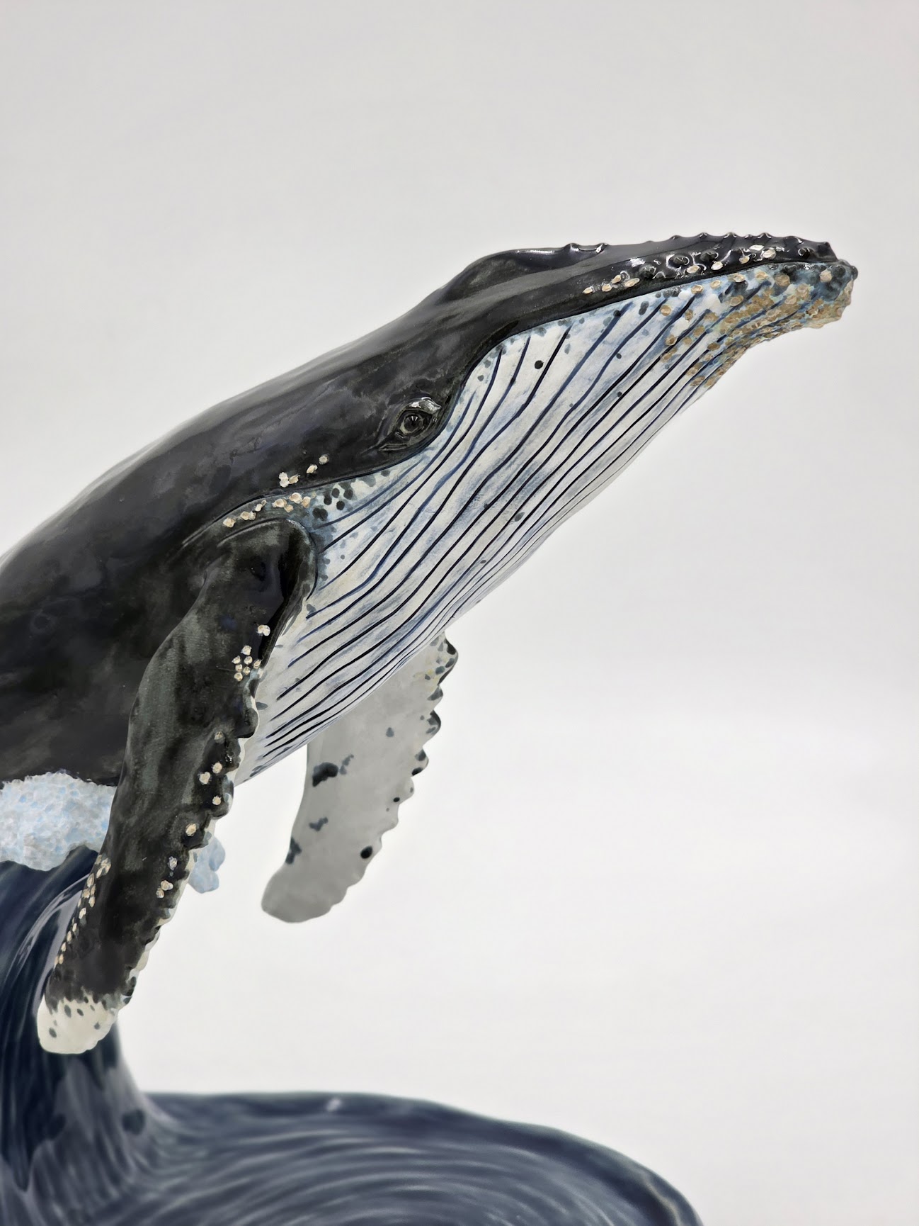Humpback Whale