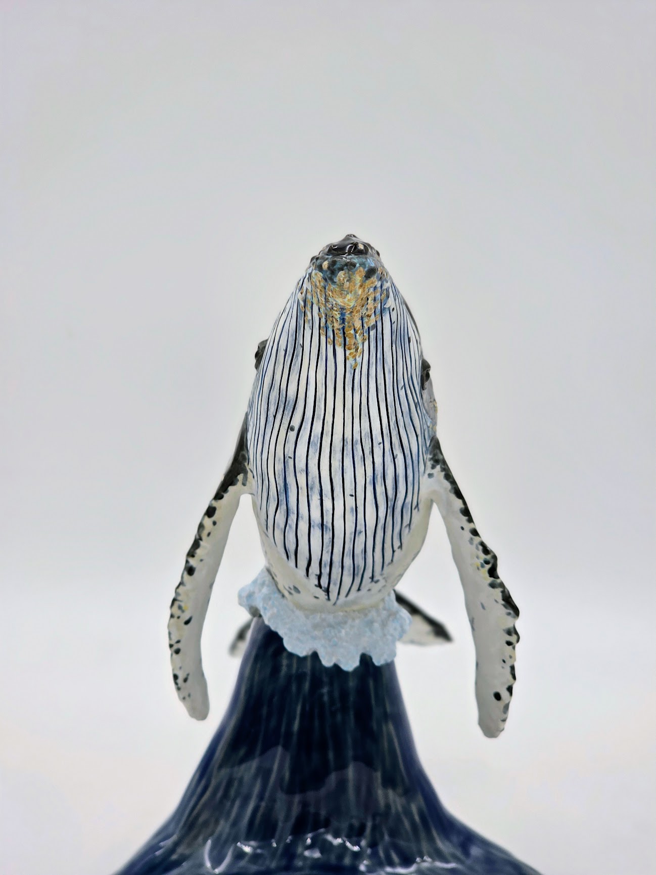 Humpback Whale