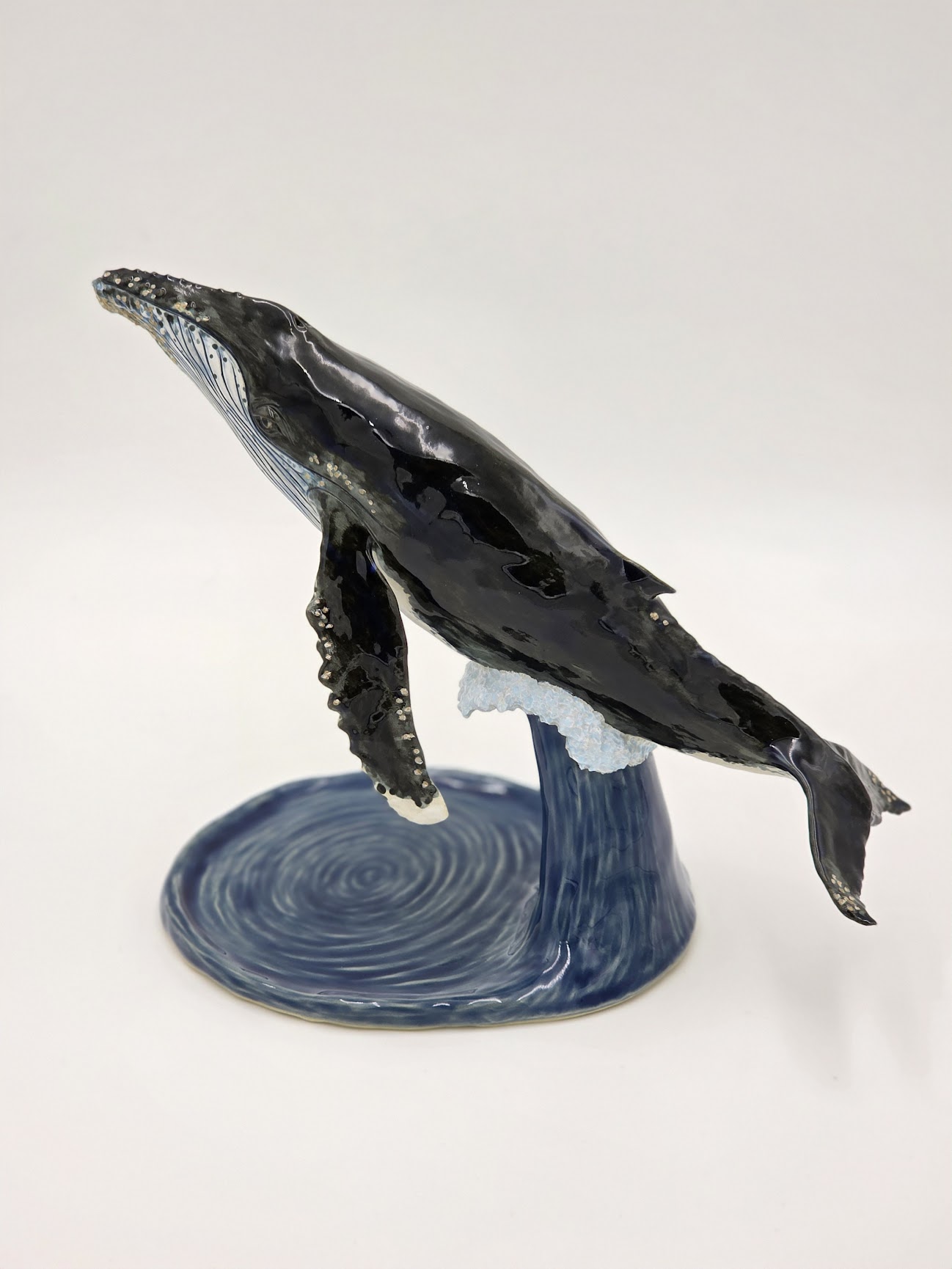 Humpback Whale