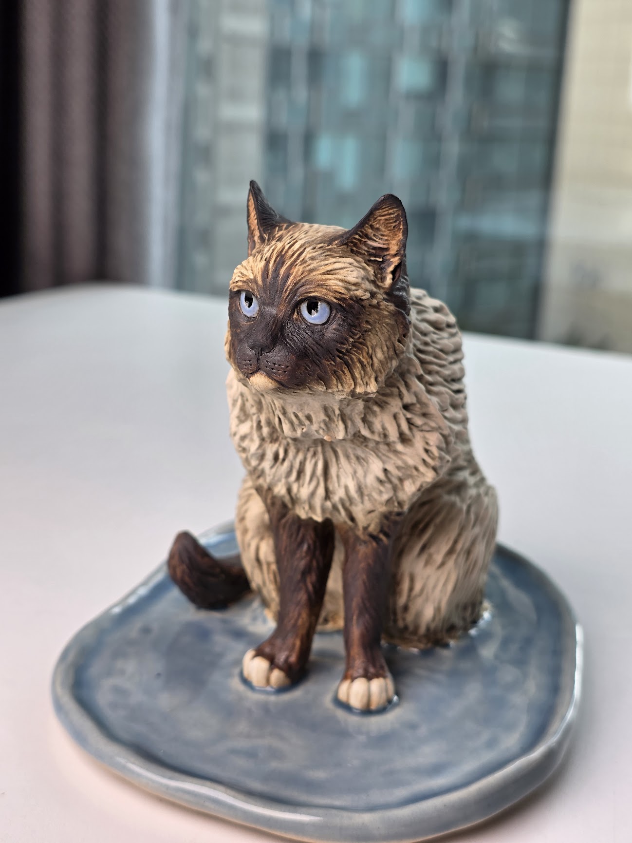 Ragdoll Cat Ragdoll Cat