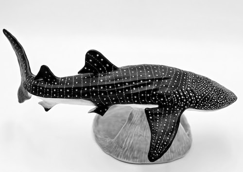 Whale Shark