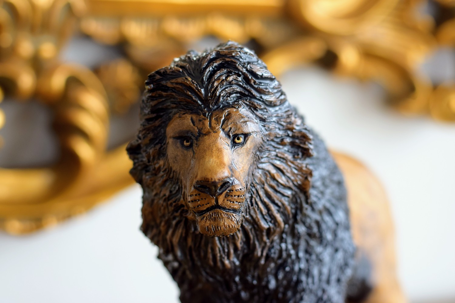 Barbary Lion