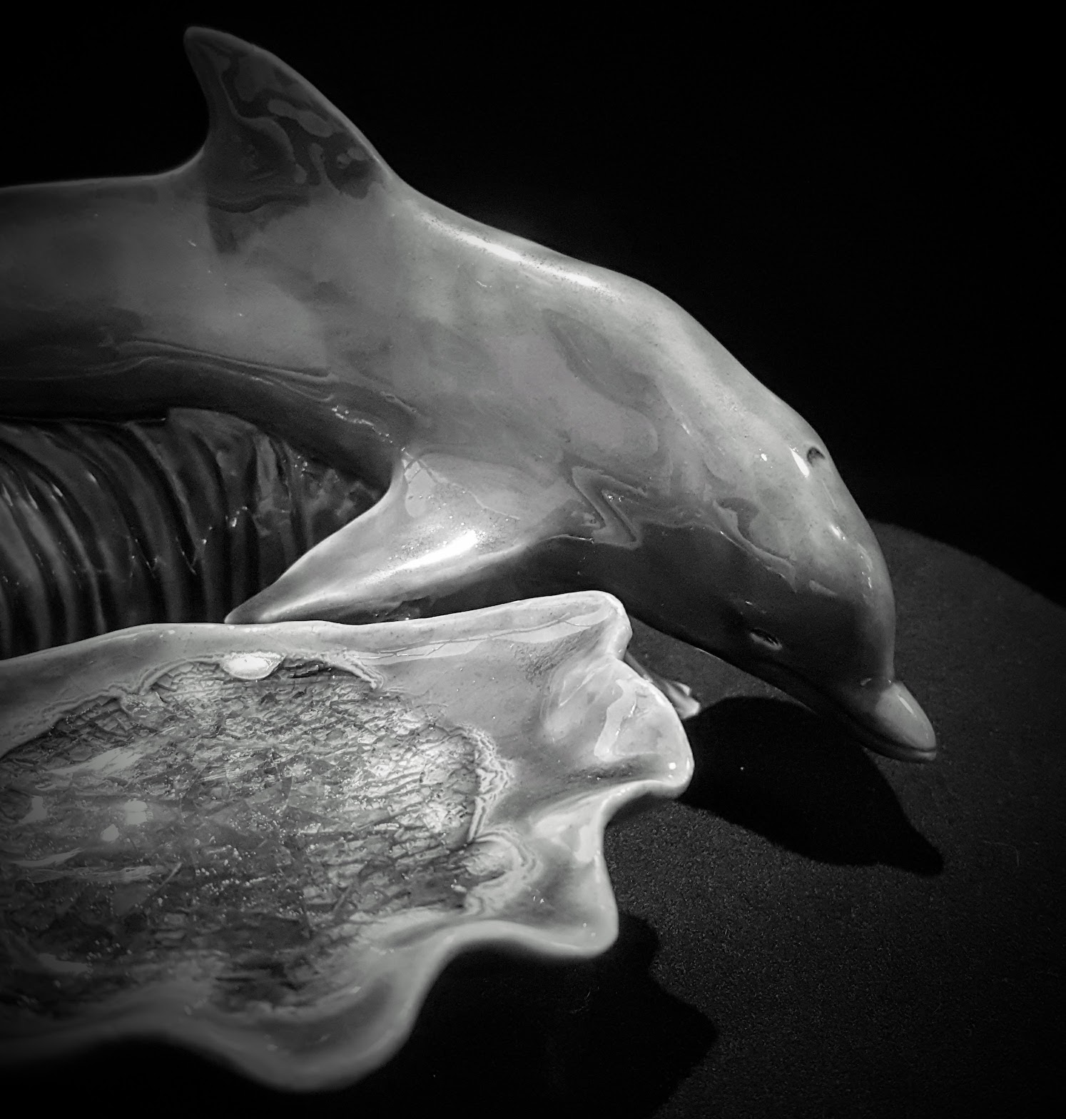 Emerald Dolphin - Side View BW