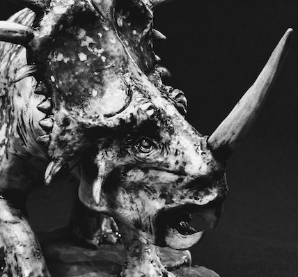 Styracosaurus