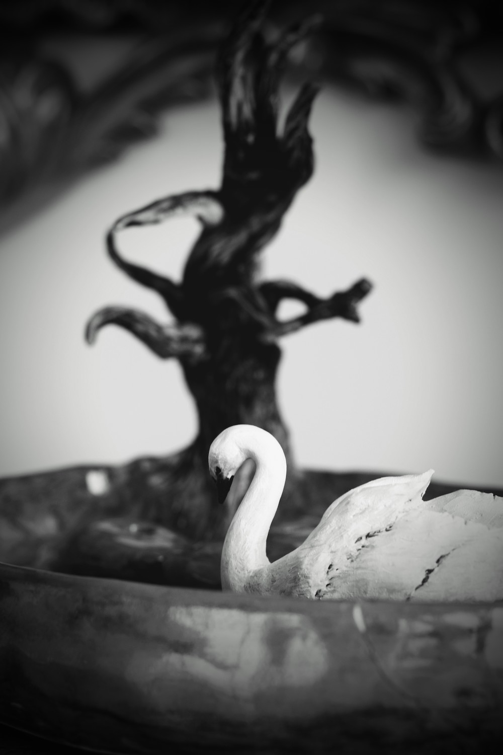 Swan Lake Suiban